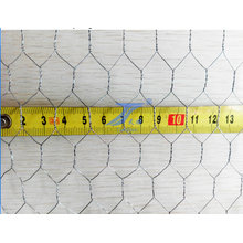 Good Quality Hot Sale Galvanized Hexagonal Wire Netting